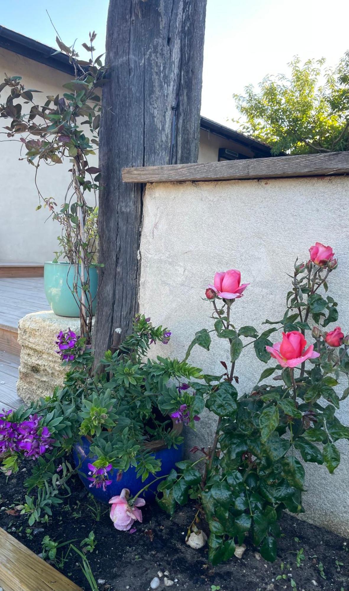 Bed and Breakfast Instant Zen Saint-Vivien-de-Medoc Екстер'єр фото